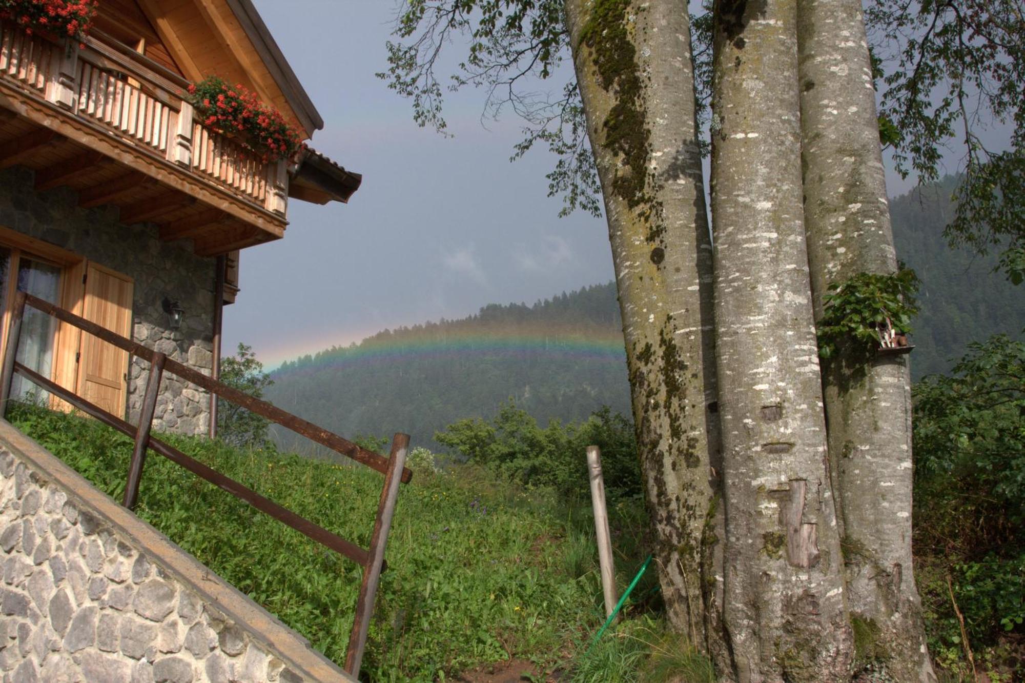 Villa Agriturismo Ai Castioni à Molveno Extérieur photo